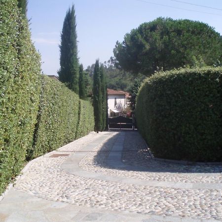 Il Giardino Di Flora Ξενοδοχείο Buti Εξωτερικό φωτογραφία